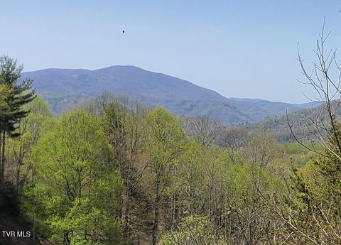 Lot 27 Blue Grass Road Roan Mountain TN 37687