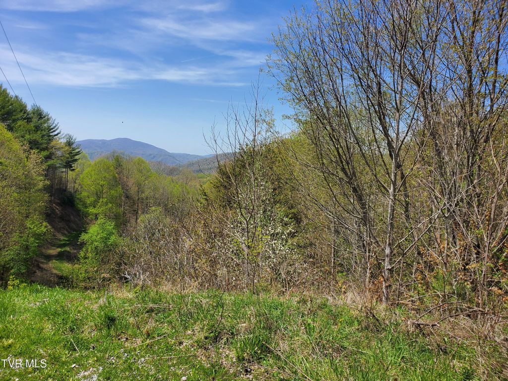 Photo of 27 Blue Grass Road, Roan Mountain, TN 37687 (MLS # 9994982)