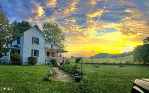 Homes For Sale - 20217 Shadowood Circle<br/> Meadowview, VA 24361