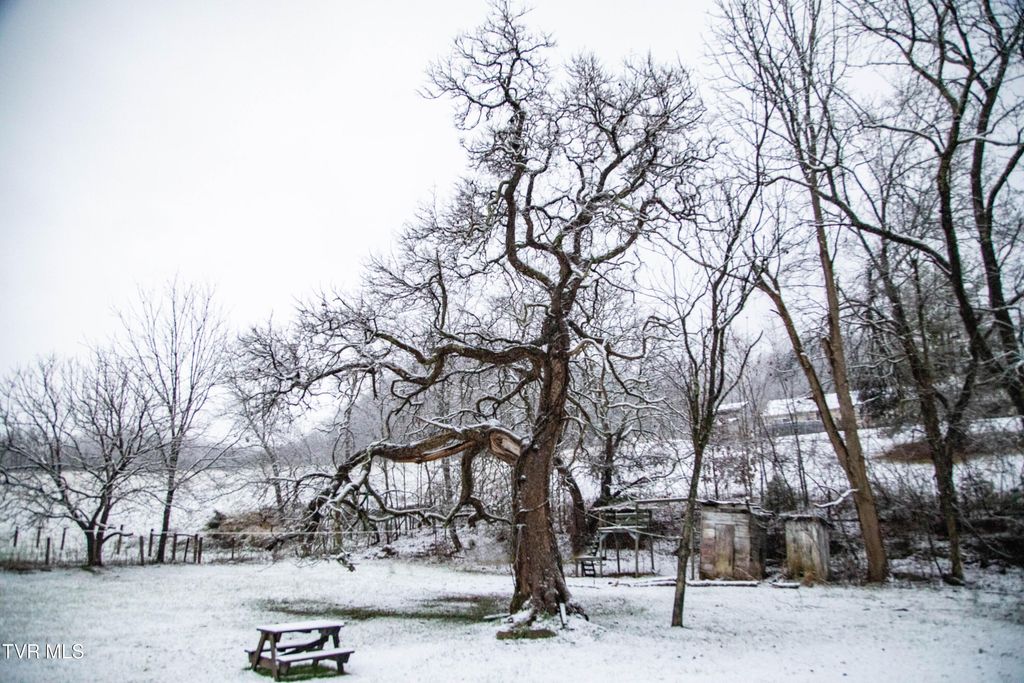 Photo of 20217 Shadowood Circle, Meadowview, VA 24361 (MLS # 9989190)