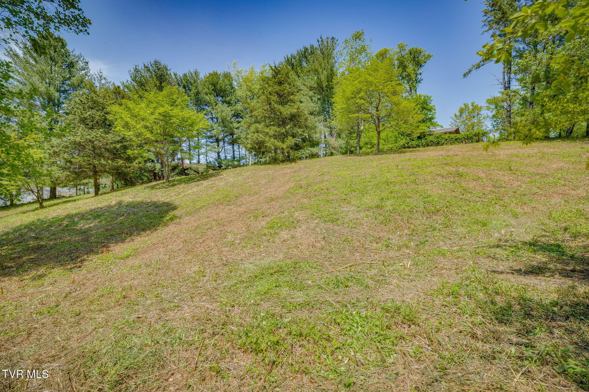 123 Woodbury Drive, Johnson City, Tennessee image 11