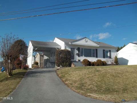 Photo of 1012 College Avenue, Bristol, TN 37620 (MLS # 9990366)