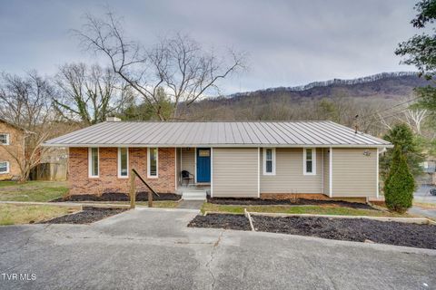 Photo of 1025 Amersham Road, Kingsport, TN 37660 (MLS # 9990131)