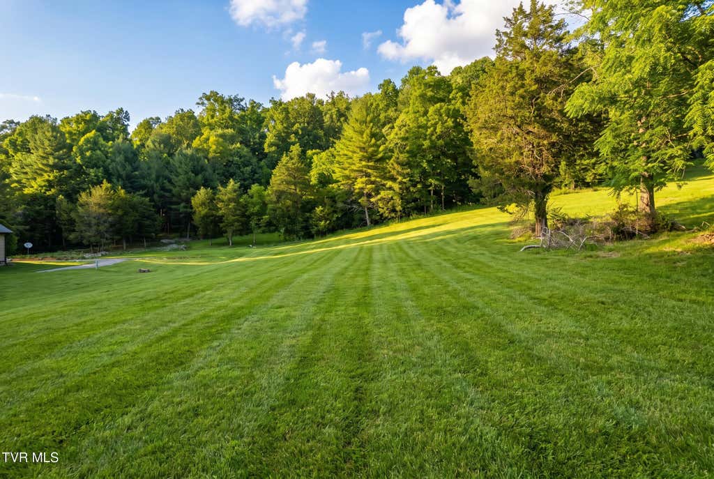 Photo of 18 Vineyard Valley Trail, Butler, TN 37640 (MLS # 9997353)