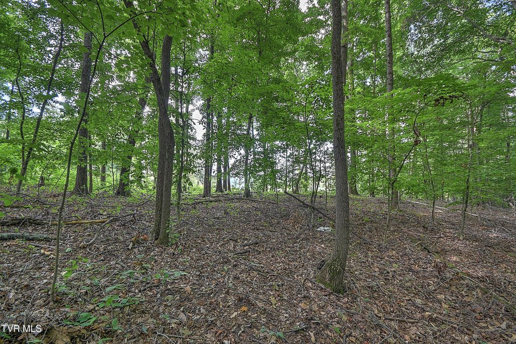 Photo of 12 Payne Ridge Road, Church Hill, TN 37642 (MLS # 9991125)