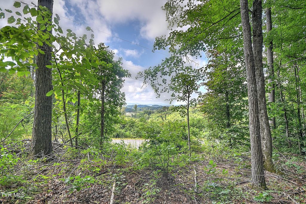 Photo of 12 Payne Ridge Road, Church Hill, TN 37642 (MLS # 9991125)