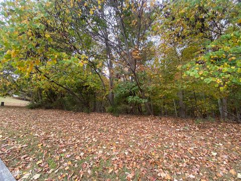 Vacant Land For Sale - TBD Allison Timbers Road<br/> Piney Flats, TN 37686