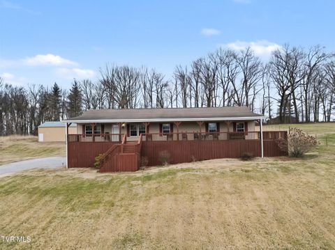 Photo of 268 Washington College Station Road, Limestone, TN 37681 (MLS # 9990729)