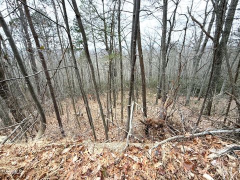 Vacant Land For Sale - 1.01 AC Green Forest Road<br/> Cosby, TN 37722