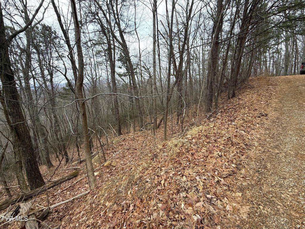Photo of 101 Green Forest Road, Cosby, TN 37722 (MLS # 9990200)