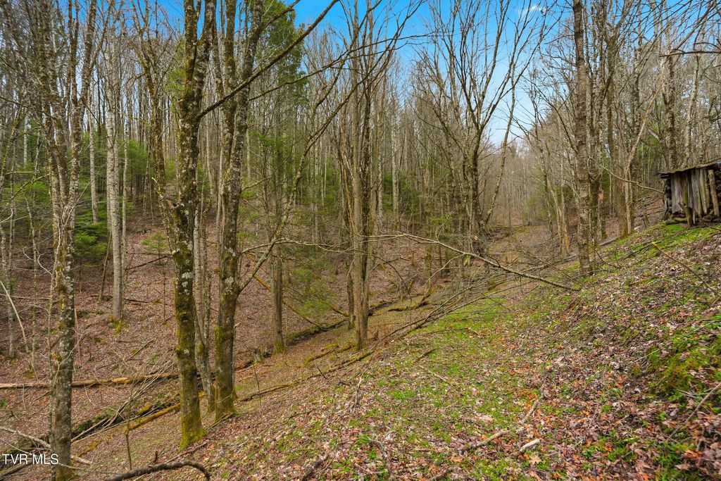 Photo of 138 Birch Lane, Damascus, VA 24236 (MLS # 9993098)