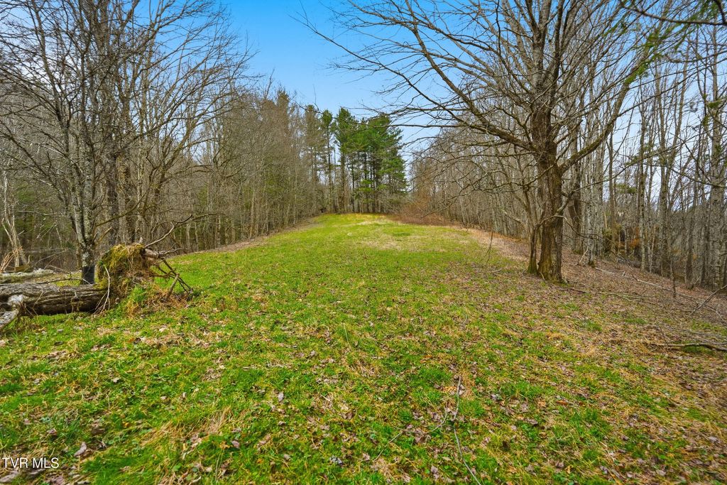 Photo of 138 Birch Lane, Damascus, VA 24236 (MLS # 9993098)