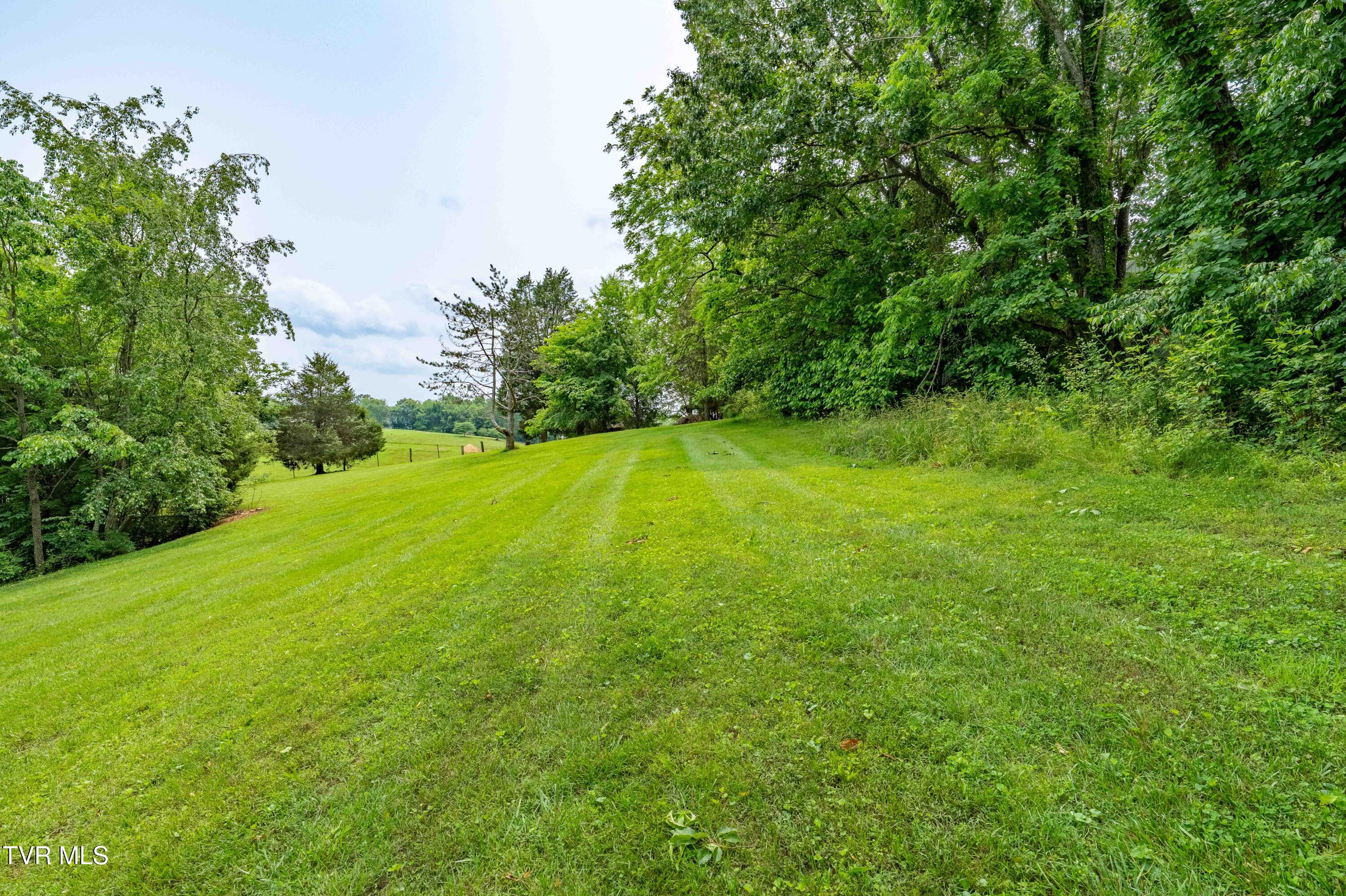 398 Grandview Court, Kingsport, Tennessee image 41