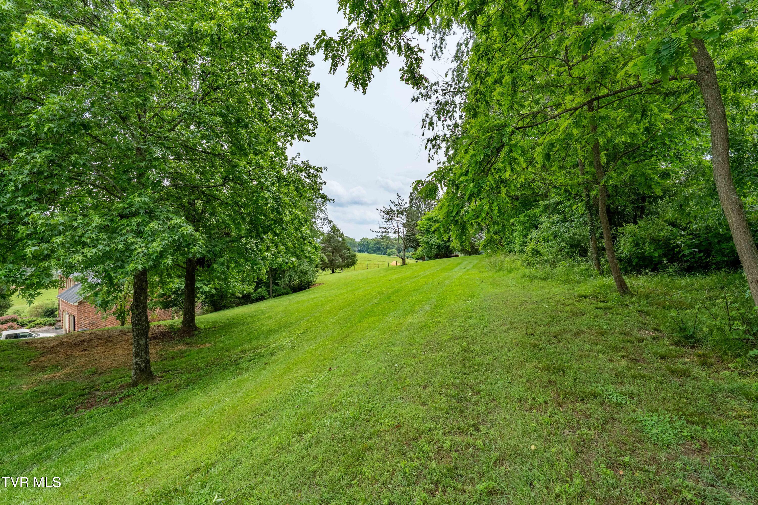 398 Grandview Court, Kingsport, Tennessee image 43