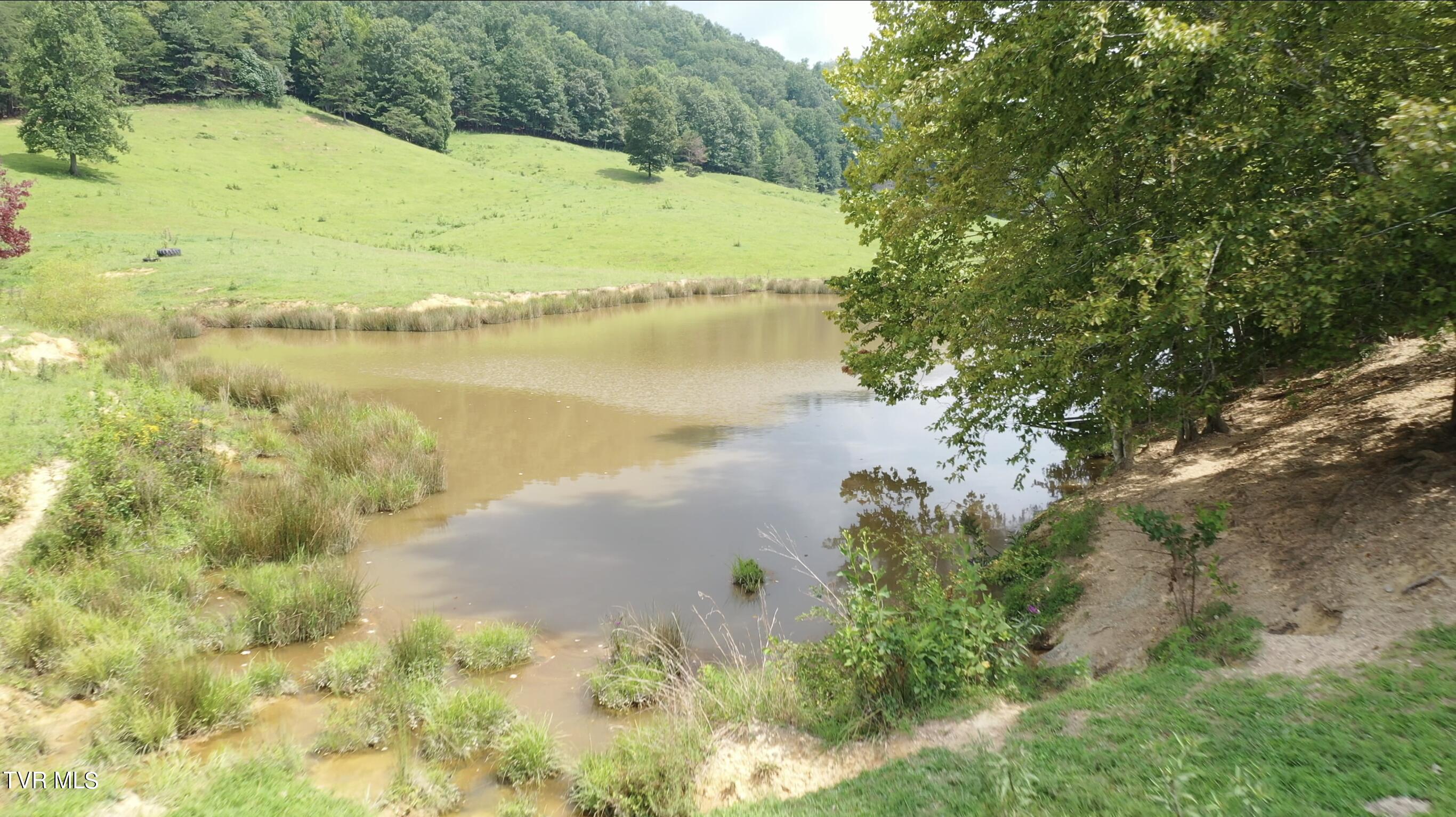 868 Caney Valley Loop, Surgoinsville, Tennessee image 6