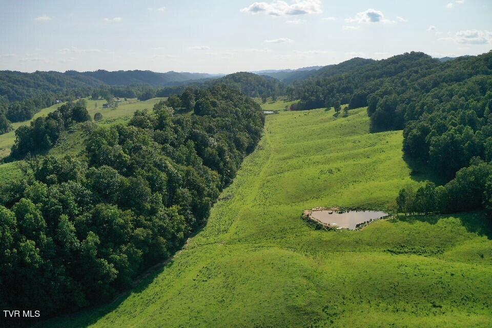 868 Caney Valley Loop, Surgoinsville, Tennessee image 11
