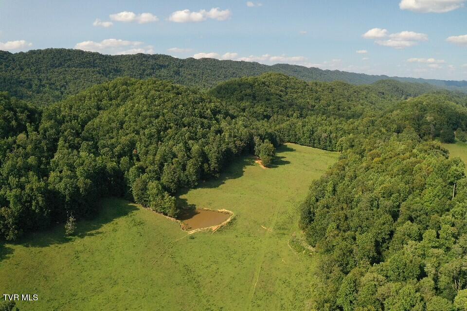 868 Caney Valley Loop, Surgoinsville, Tennessee image 8