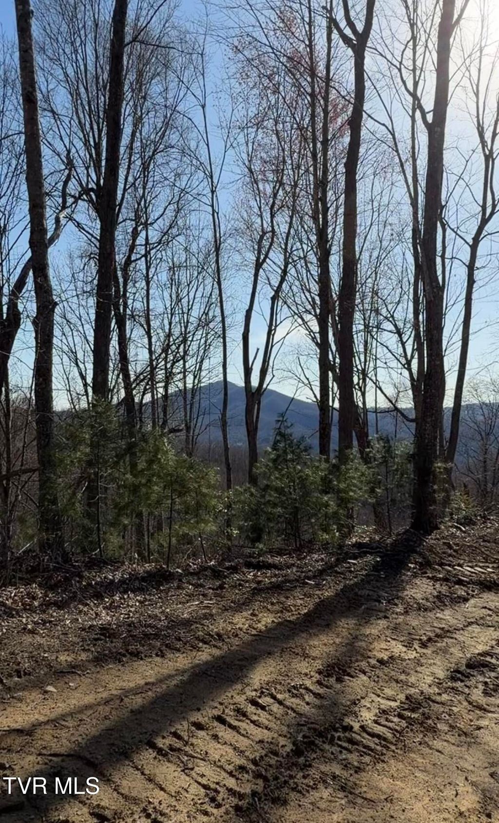 Photo of Tbd Heaton Branch Road, Butler, TN 37640 (MLS # 9996253)
