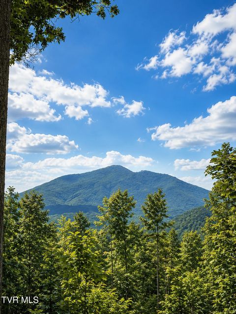 Vacant Land For Sale - TBD Heaton Branch Road<br/> Butler, TN 37640