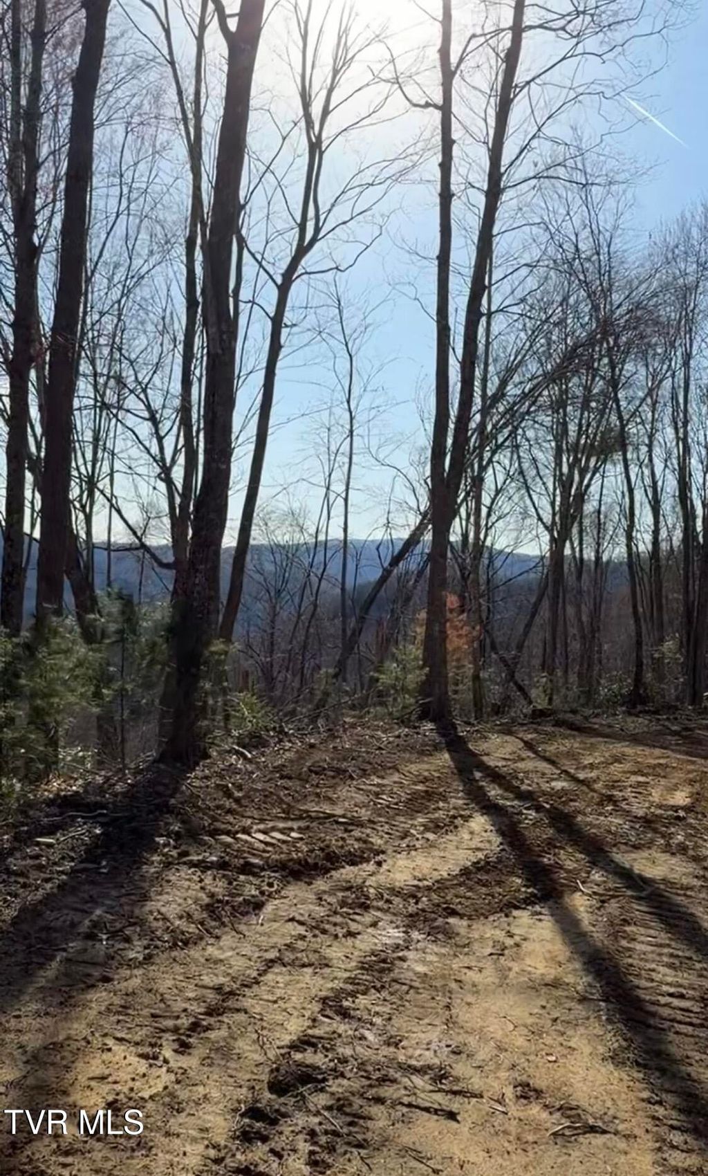 Photo of Tbd Heaton Branch Road, Butler, TN 37640 (MLS # 9996253)