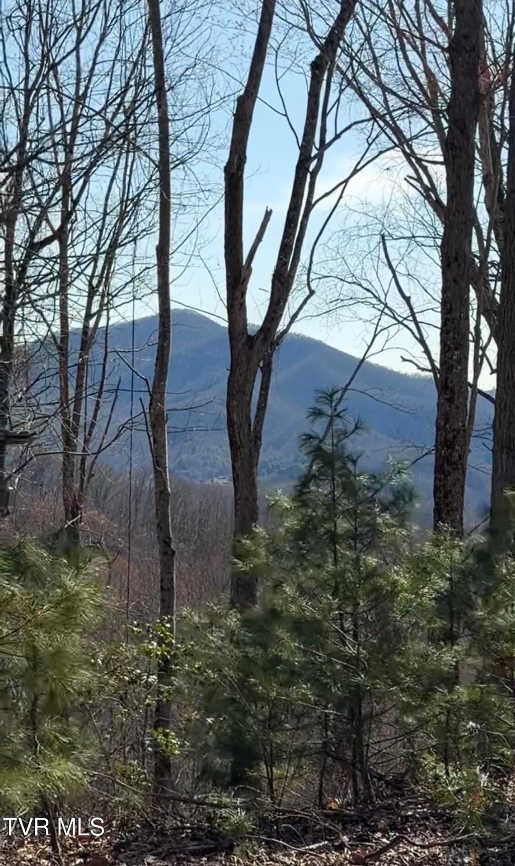 Photo of Tbd Heaton Branch Road, Butler, TN 37640 (MLS # 9996253)