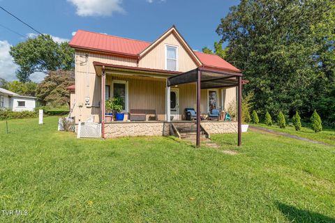 Homes For Sale - 217 Opie Arnold Road<br/> Limestone, TN 37681