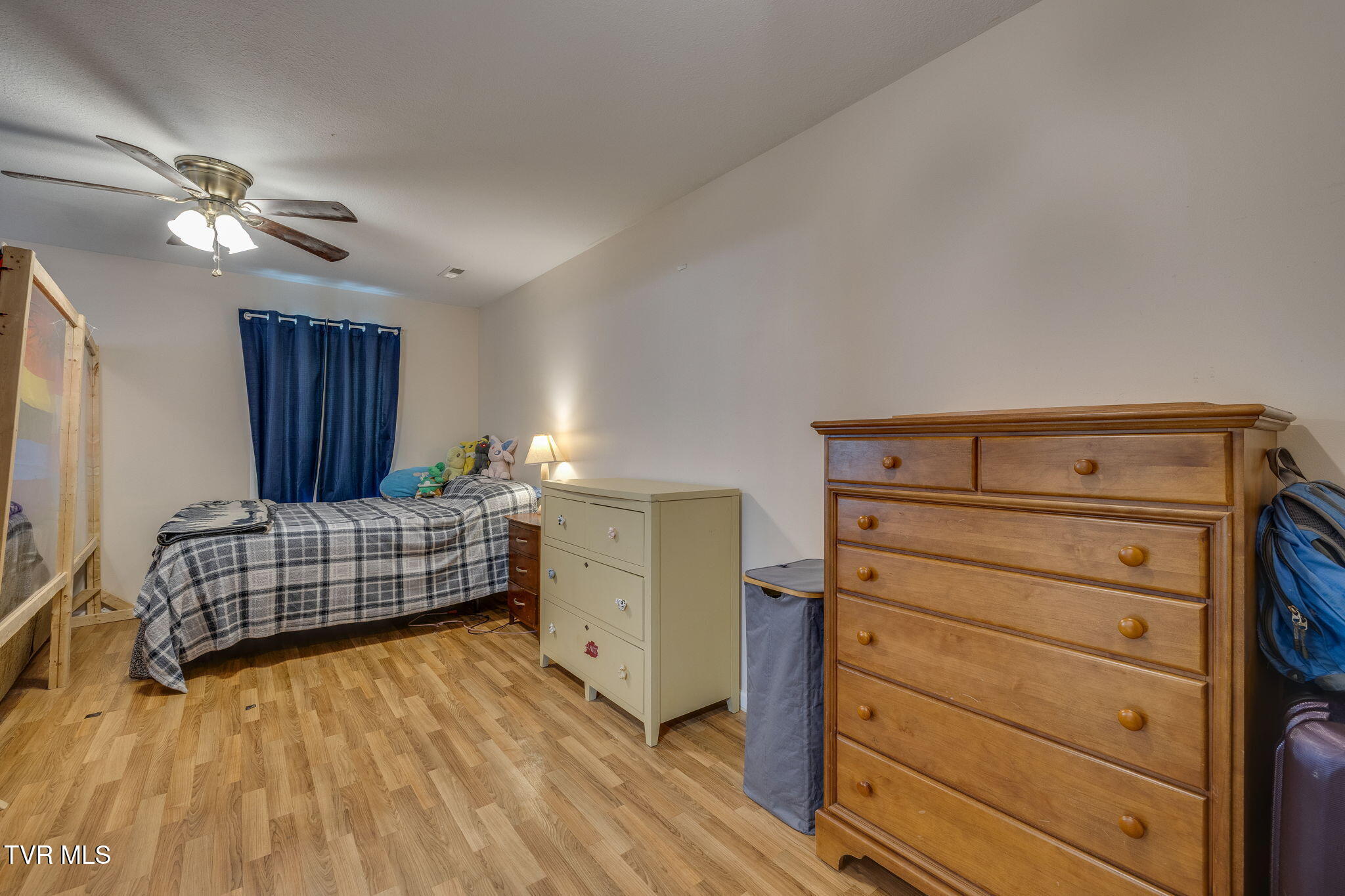 306 Chestnut Street, Johnson City, Tennessee image 33