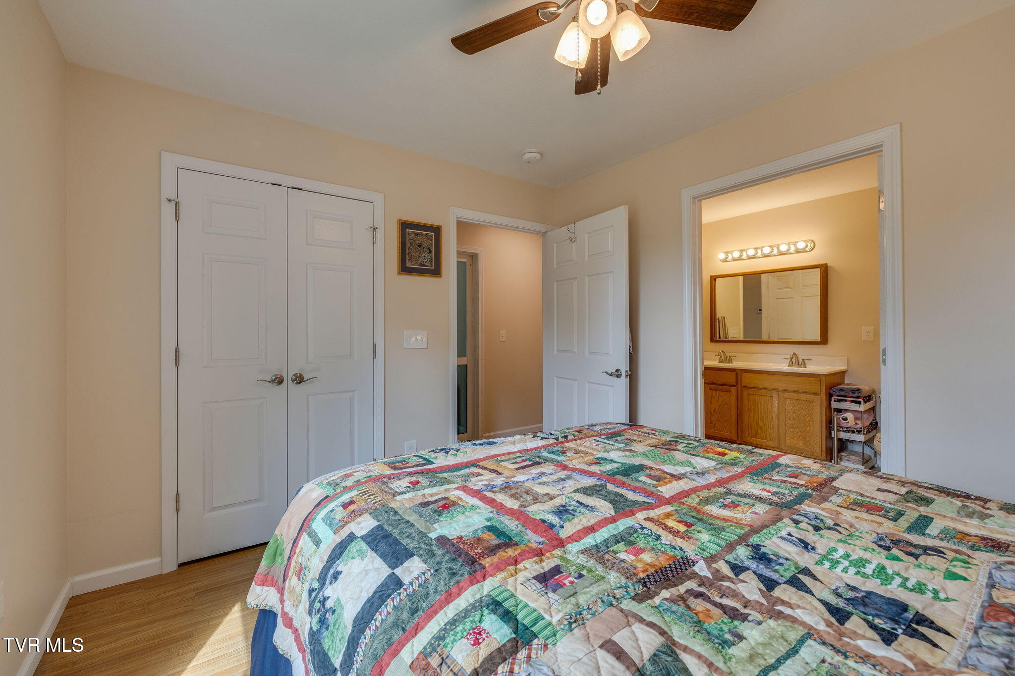 306 Chestnut Street, Johnson City, Tennessee image 18