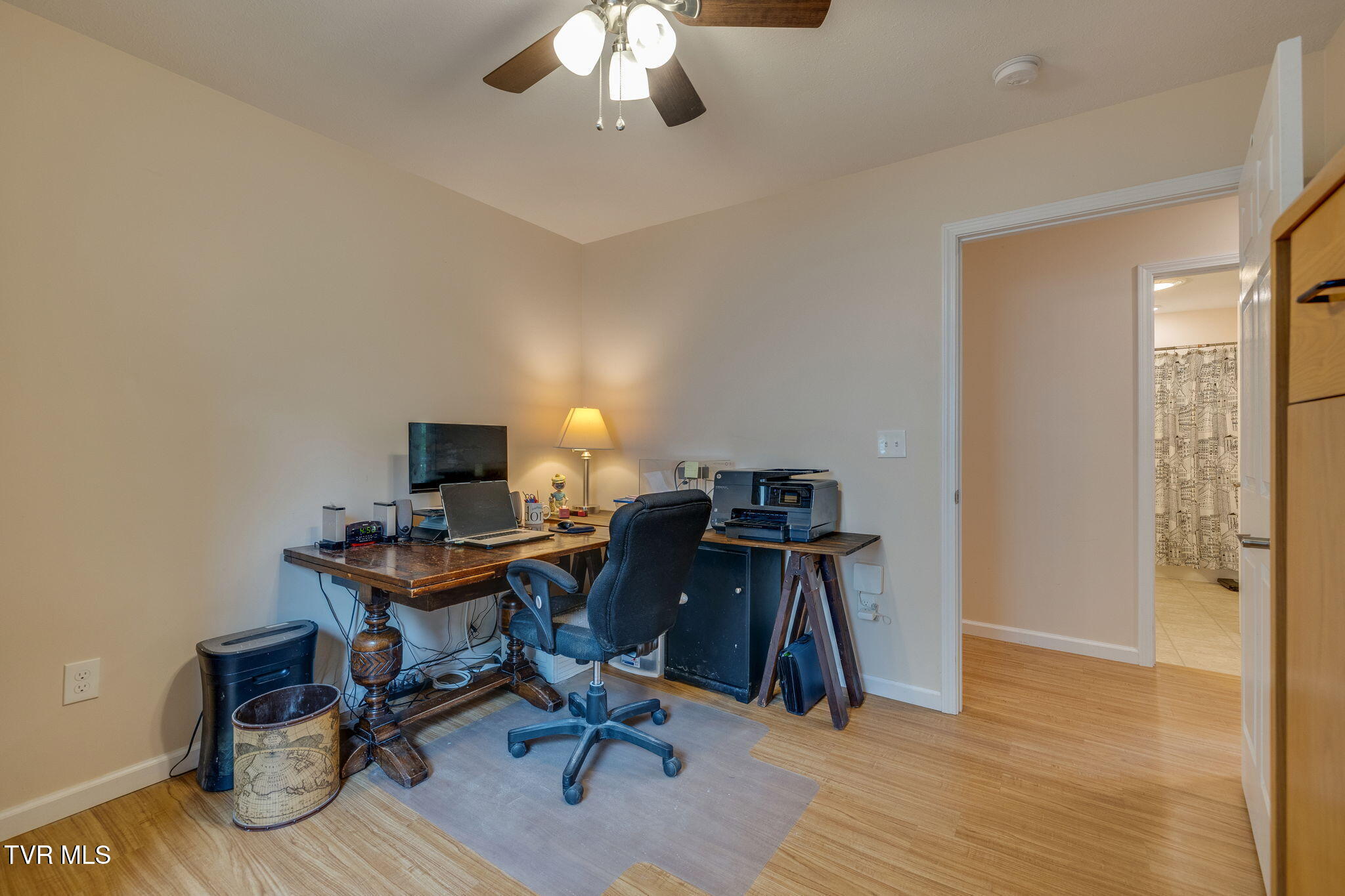 306 Chestnut Street, Johnson City, Tennessee image 22