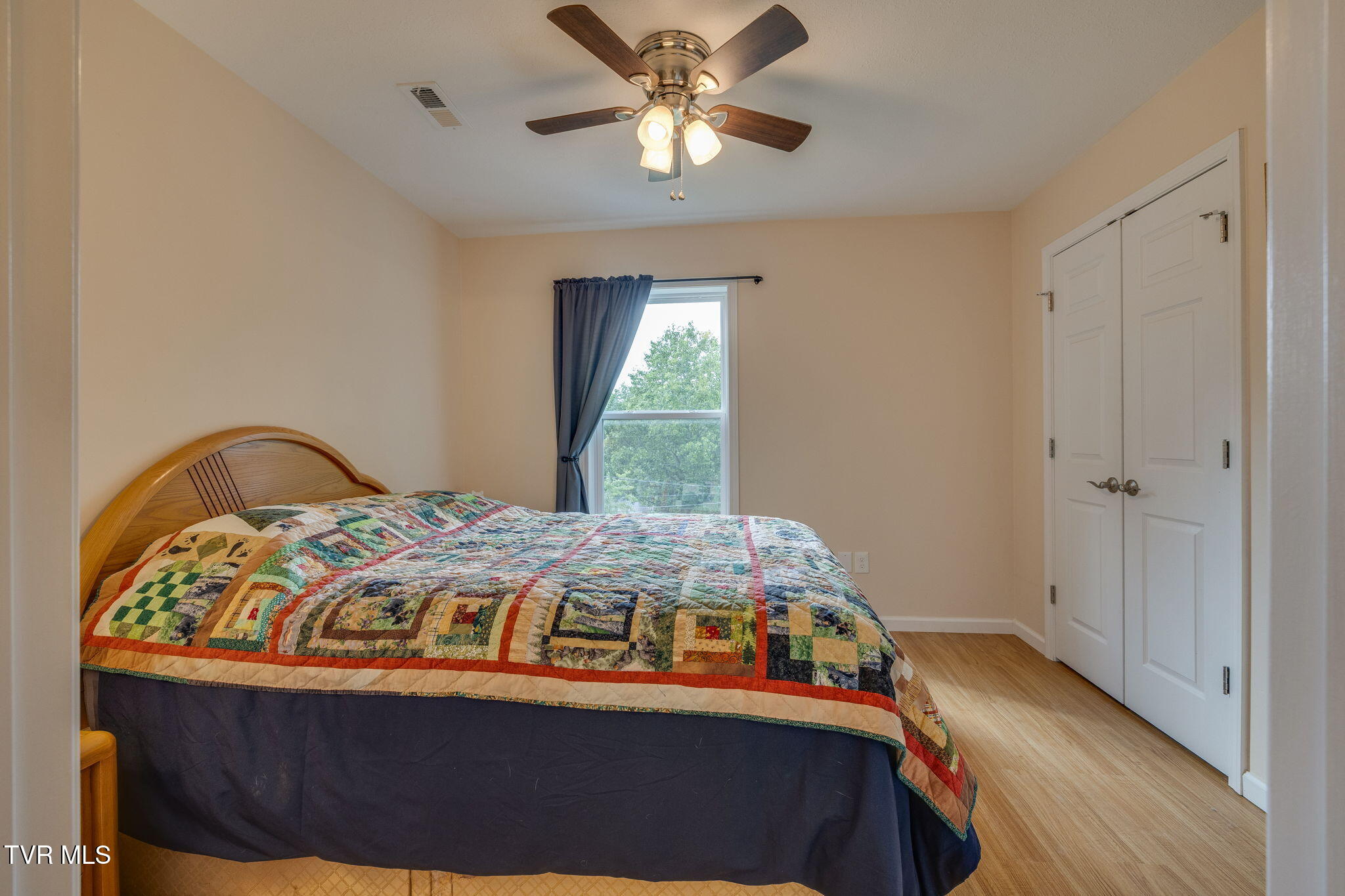 306 Chestnut Street, Johnson City, Tennessee image 19
