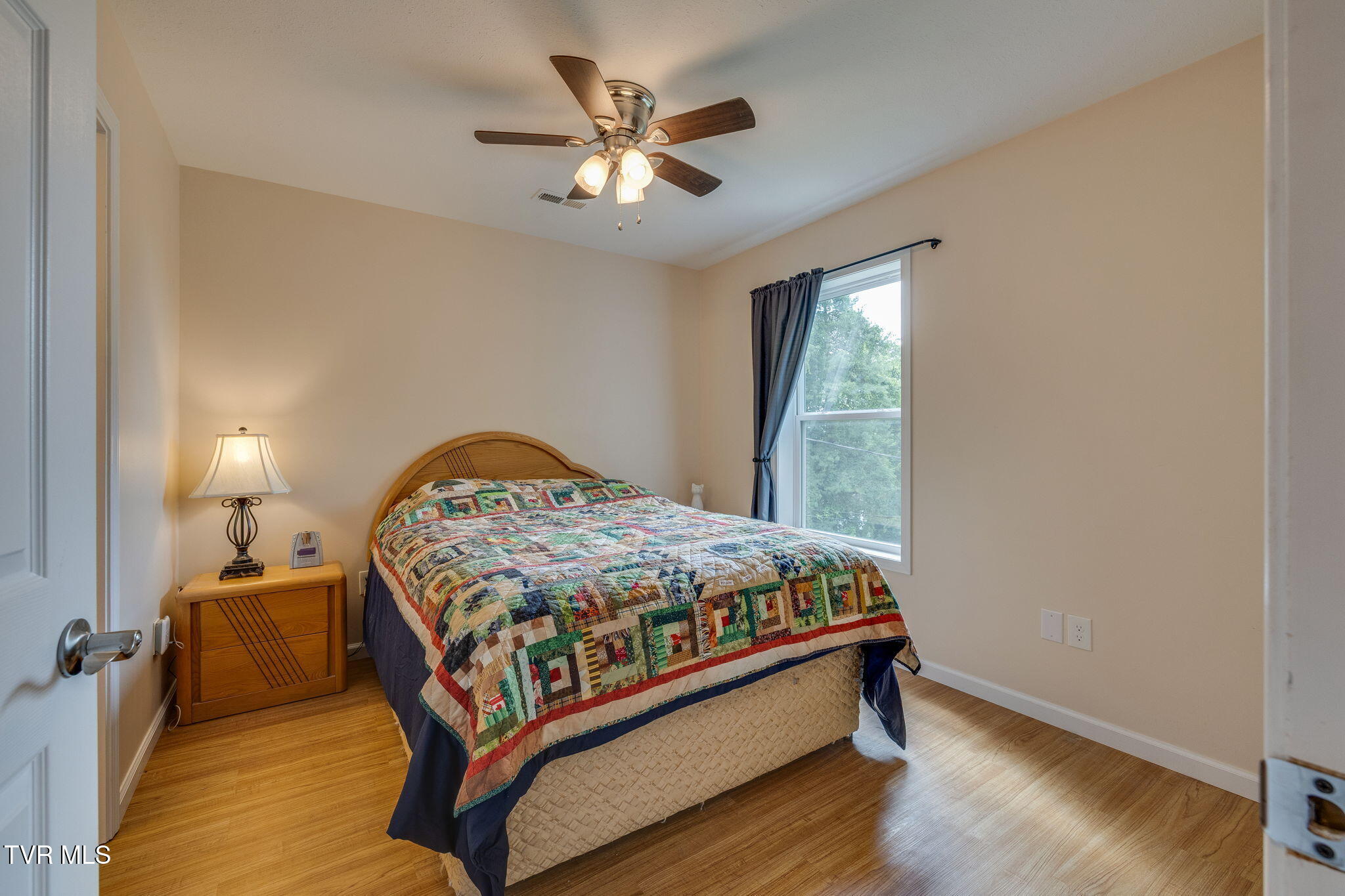 306 Chestnut Street, Johnson City, Tennessee image 17