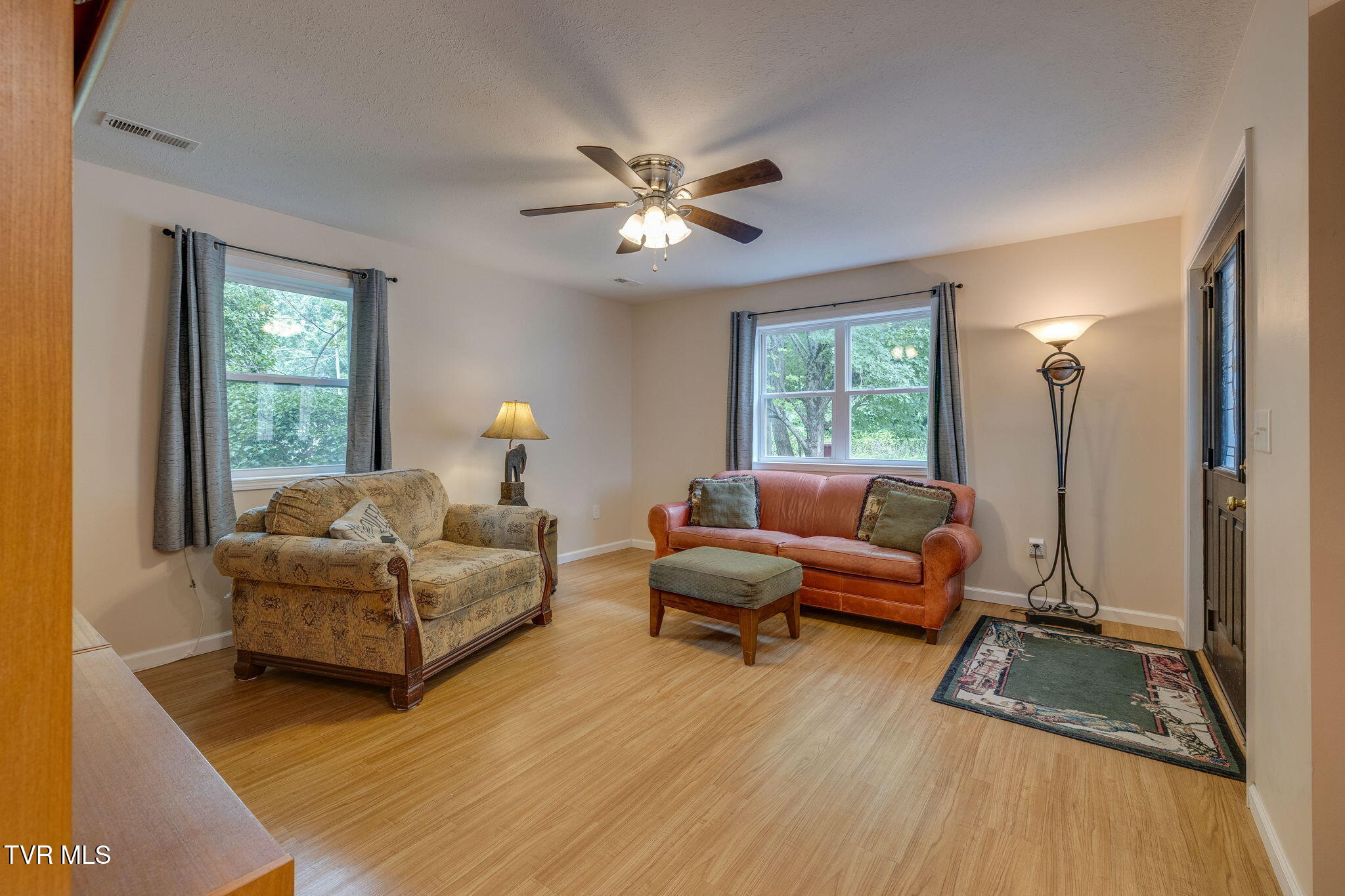 306 Chestnut Street, Johnson City, Tennessee image 10