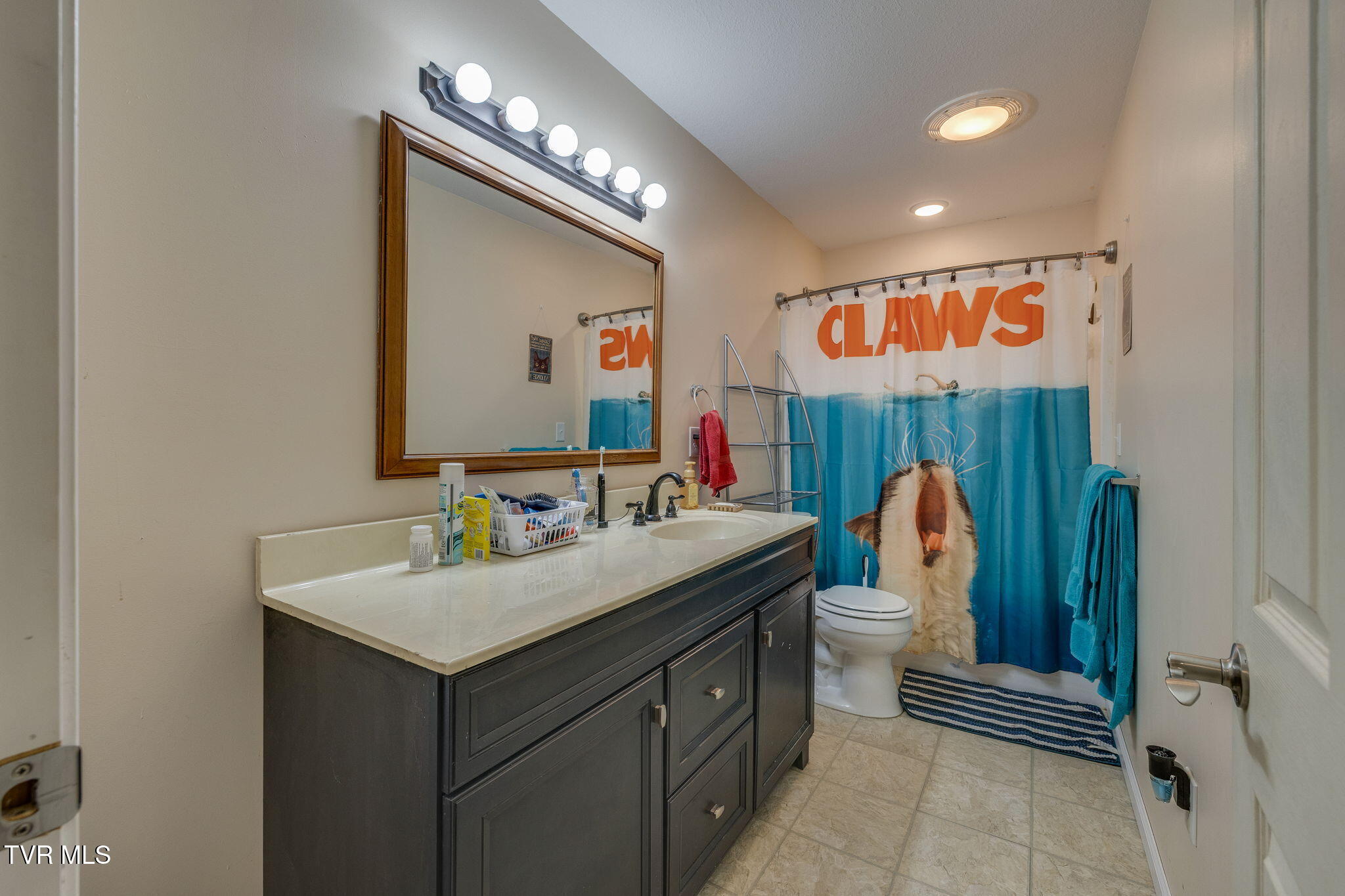 306 Chestnut Street, Johnson City, Tennessee image 35