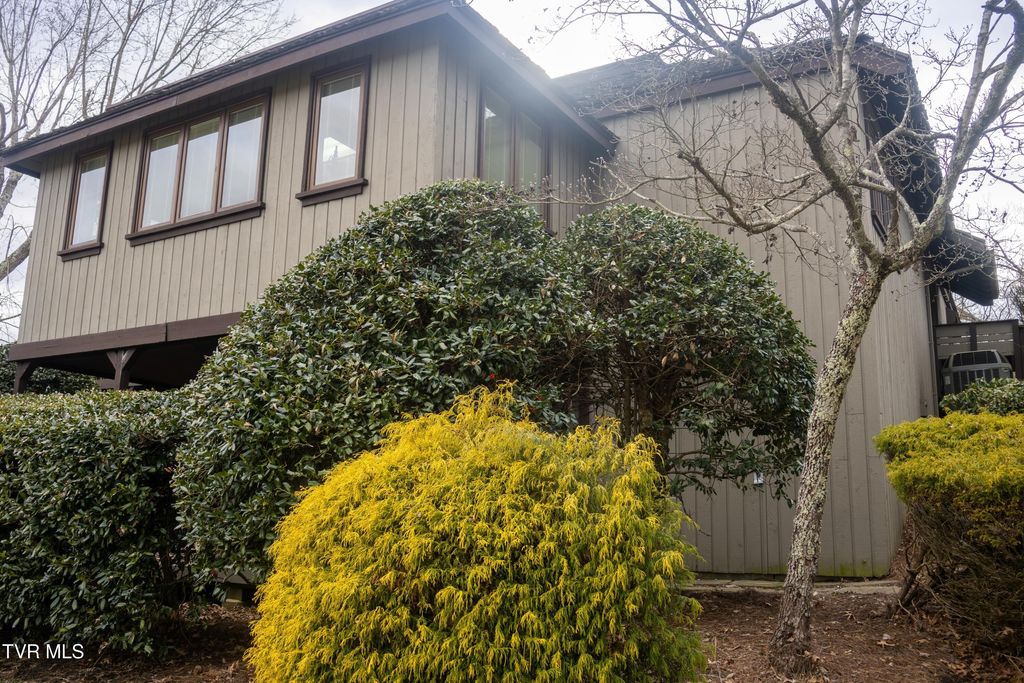 Photo of 98 Periwinkle Place, Kingsport, TN 37660 (MLS # 9990325)