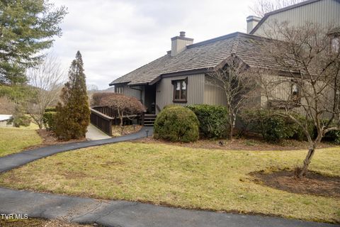 Photo of 98 Periwinkle Place, Kingsport, TN 37660 (MLS # 9990325)