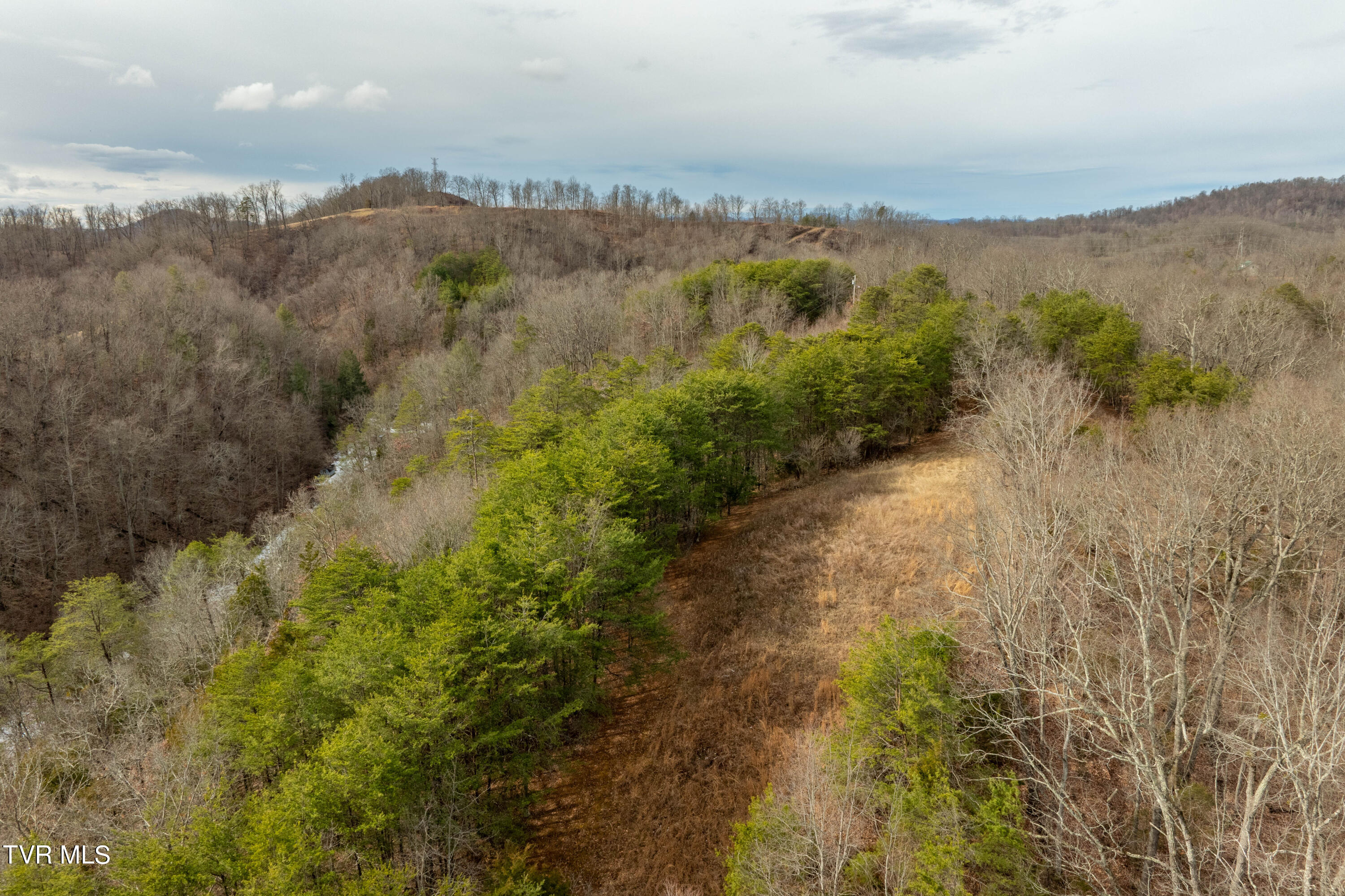 Tbd Lick Creek Road, Watauga, Tennessee image 16