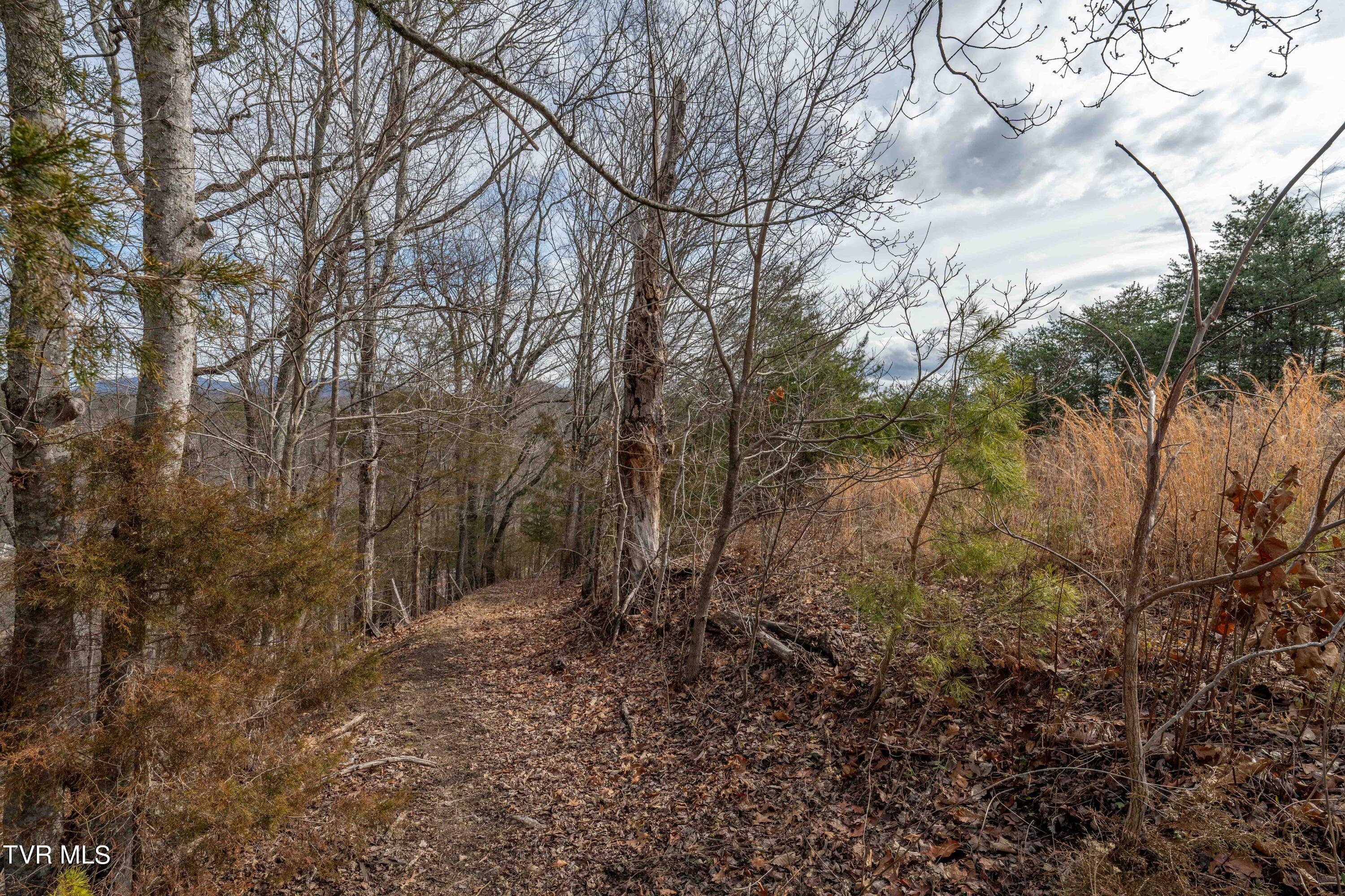 Tbd Lick Creek Road, Watauga, Tennessee image 28
