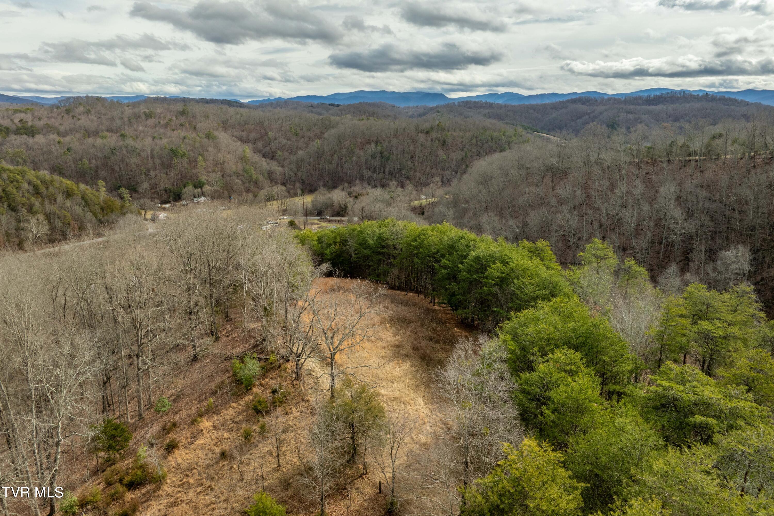 Tbd Lick Creek Road, Watauga, Tennessee image 13