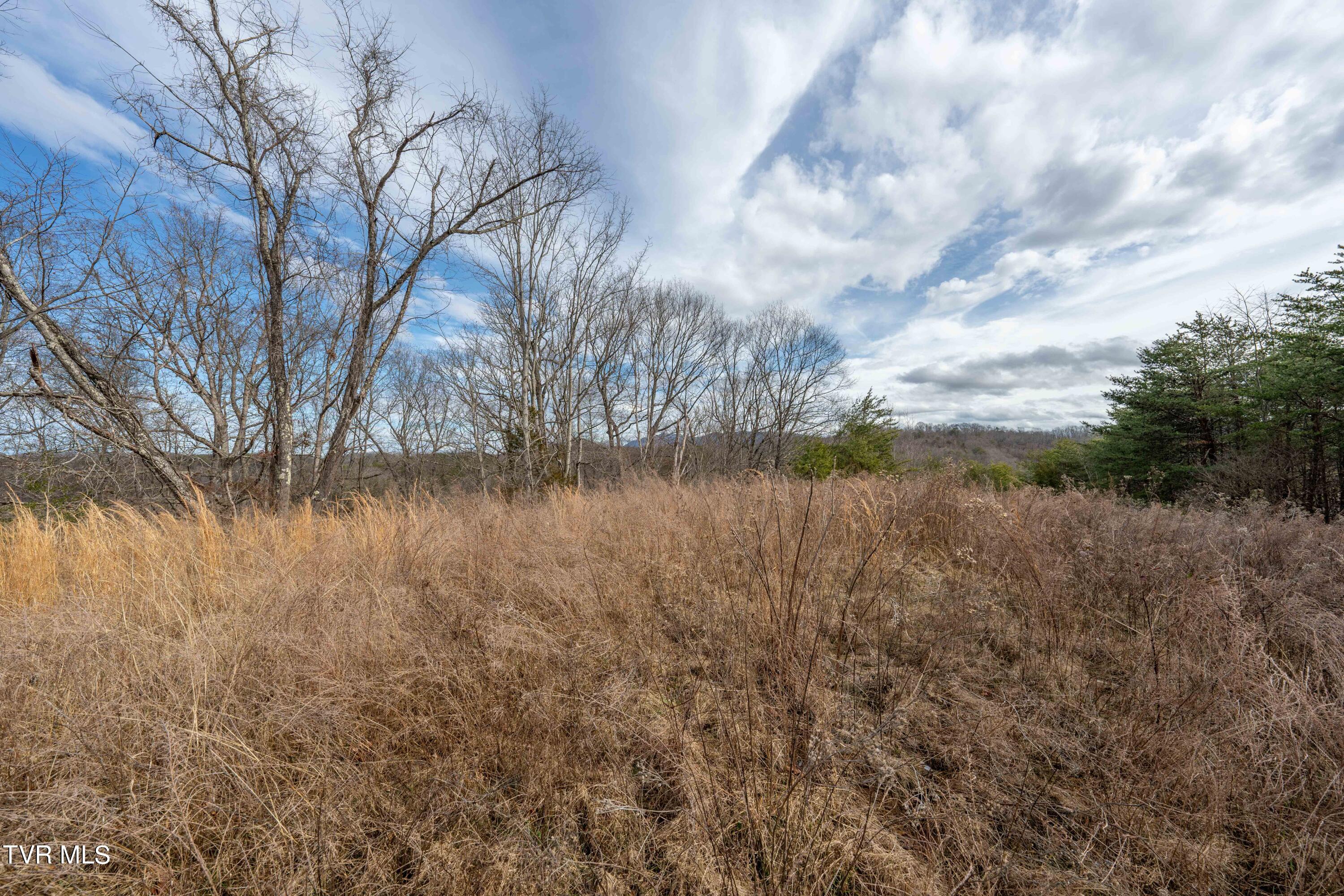 Tbd Lick Creek Road, Watauga, Tennessee image 30