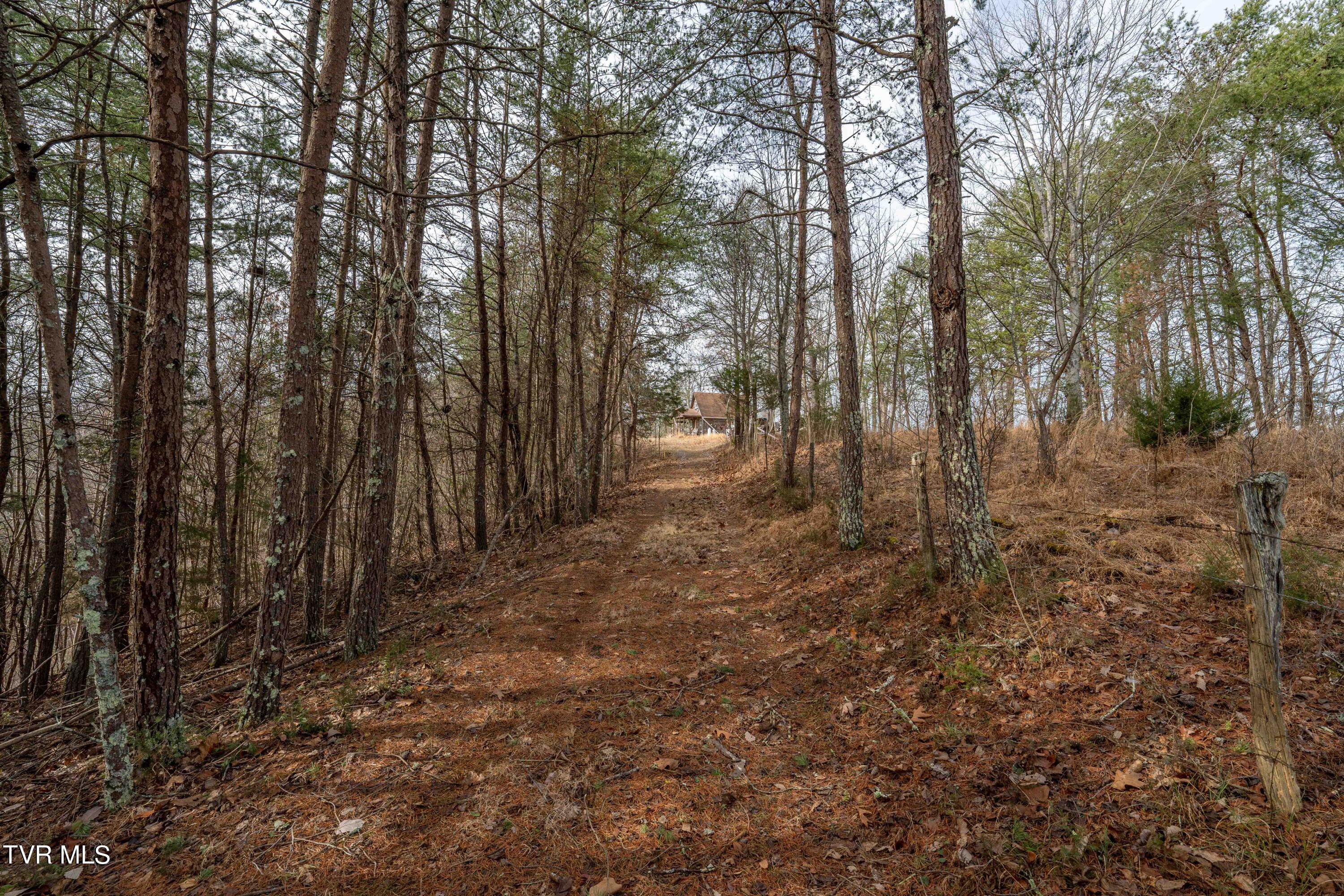 Tbd Lick Creek Road, Watauga, Tennessee image 33