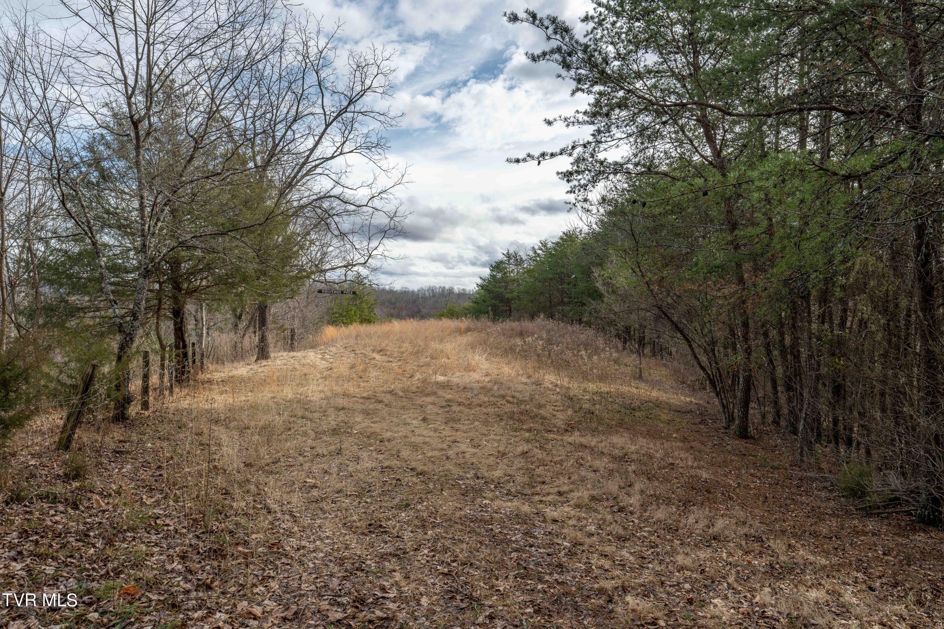 Tbd Lick Creek Road, Watauga, Tennessee image 24