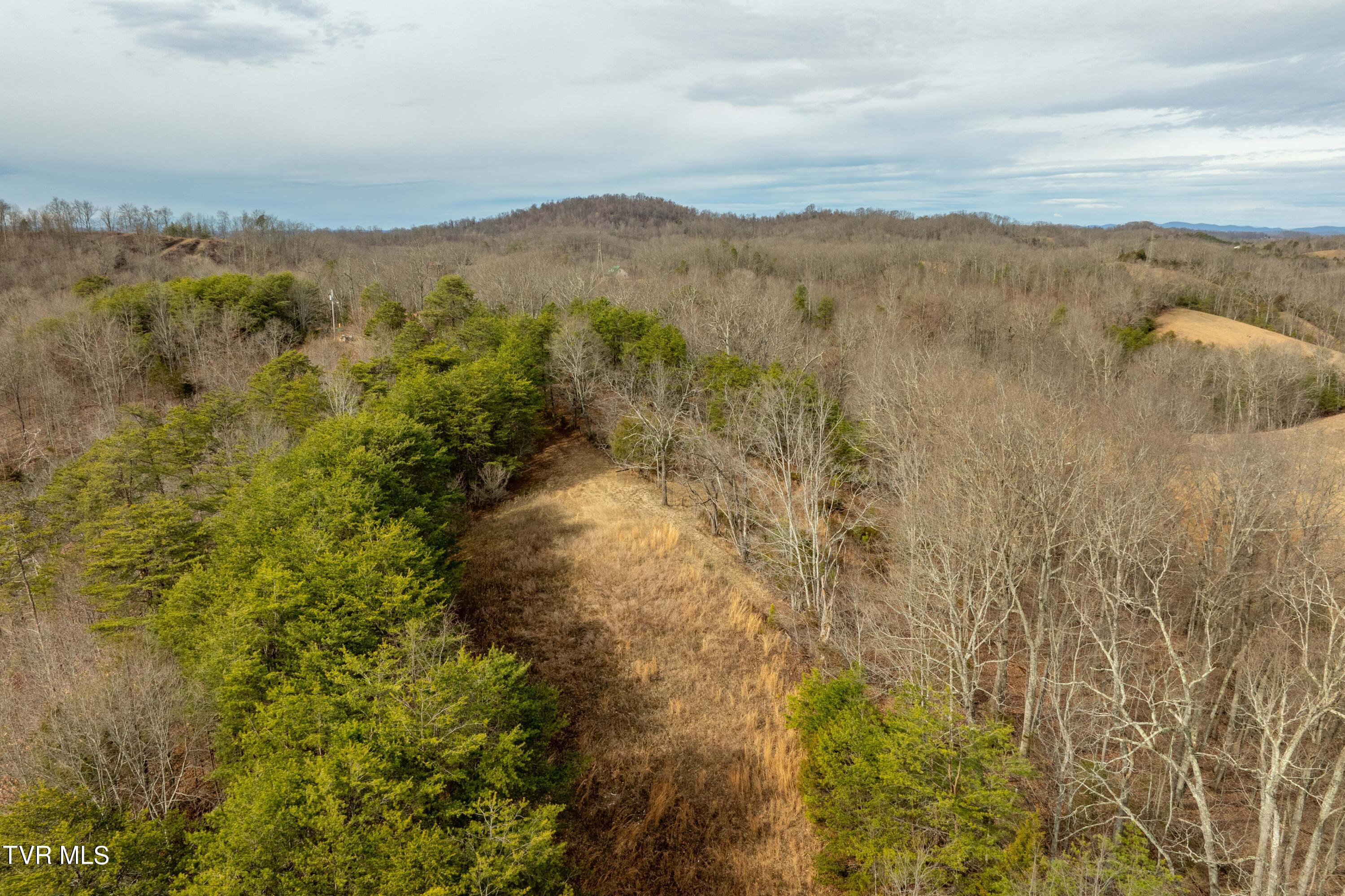 Tbd Lick Creek Road, Watauga, Tennessee image 15