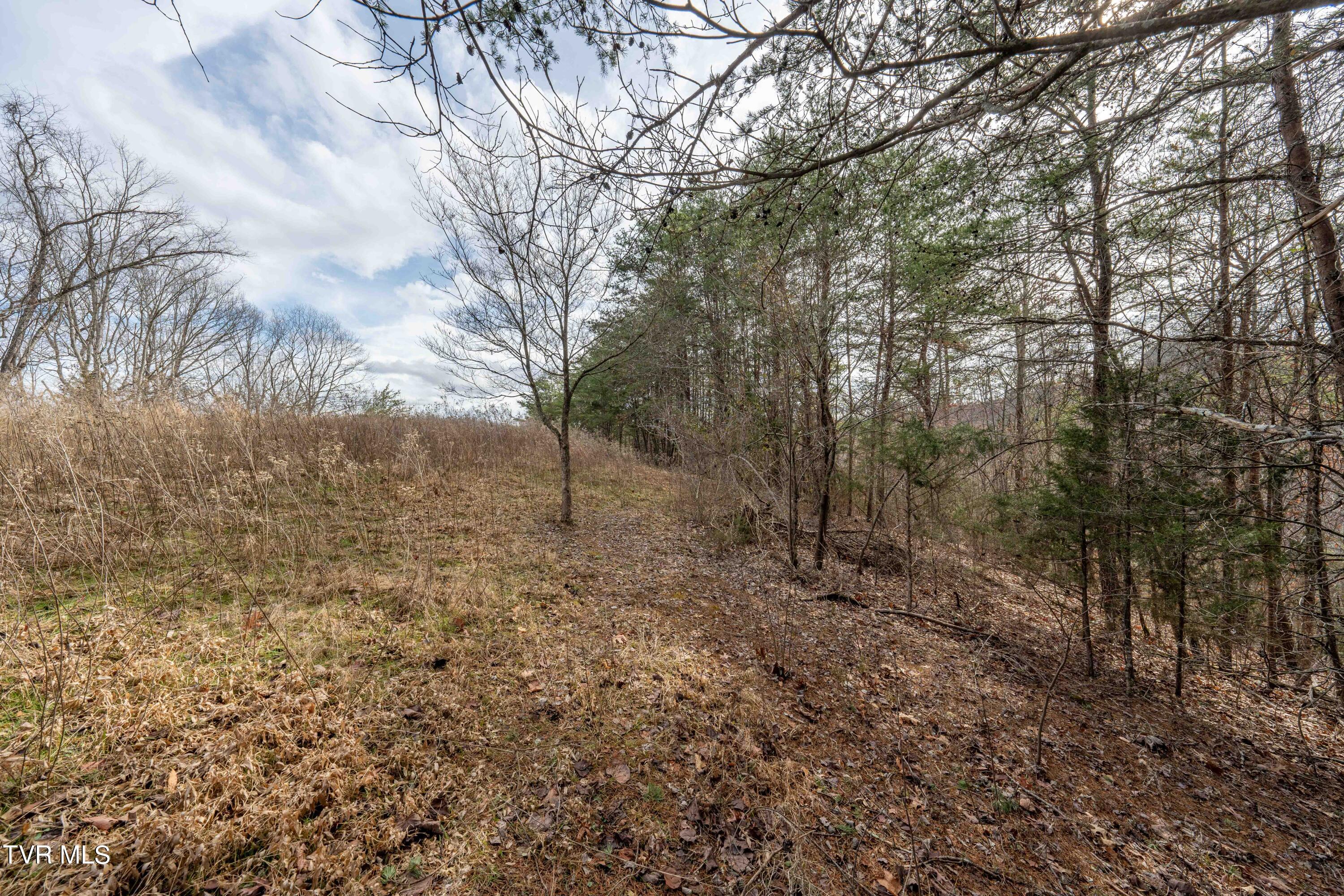 Tbd Lick Creek Road, Watauga, Tennessee image 32