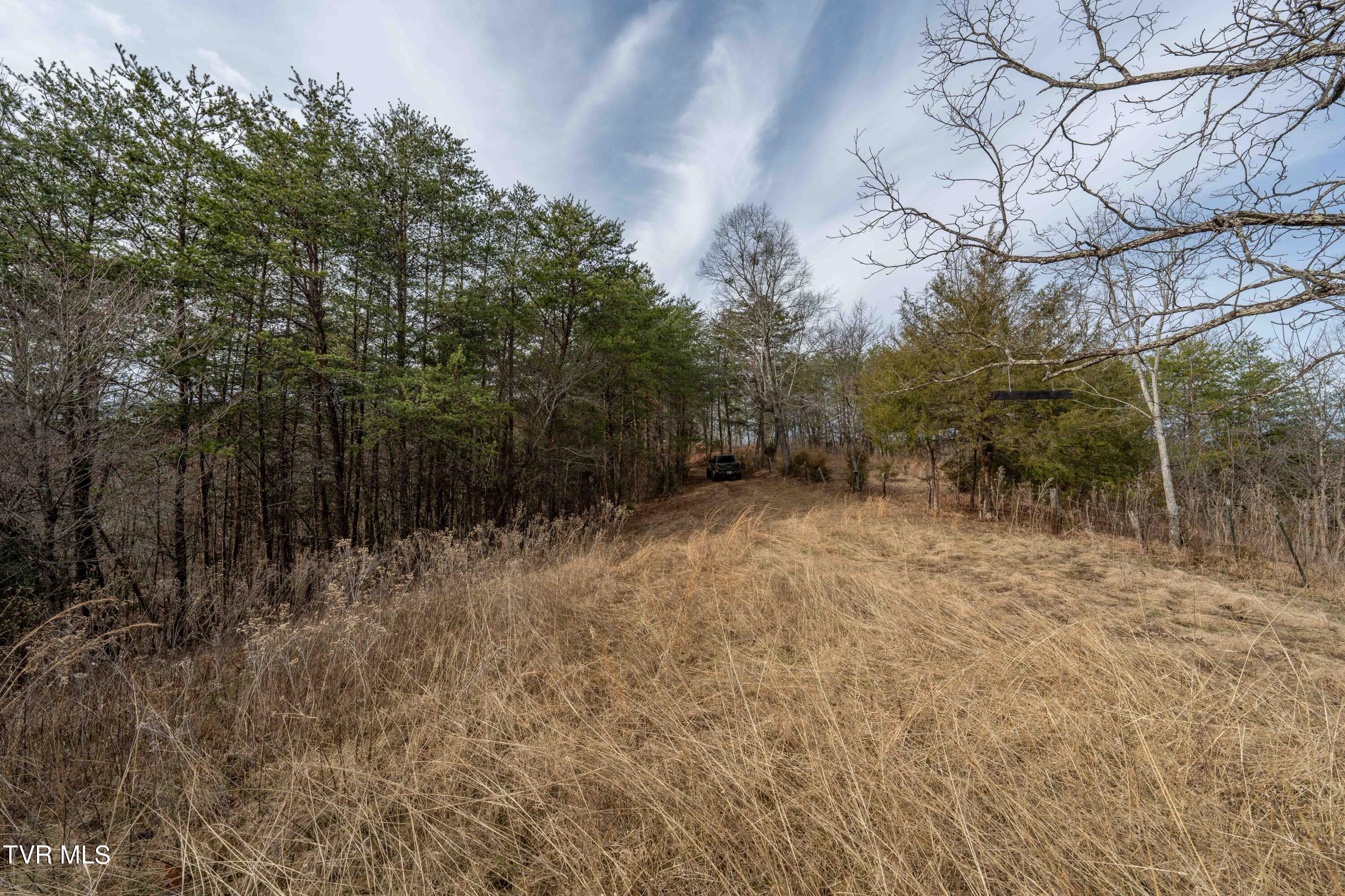 Tbd Lick Creek Road, Watauga, Tennessee image 31