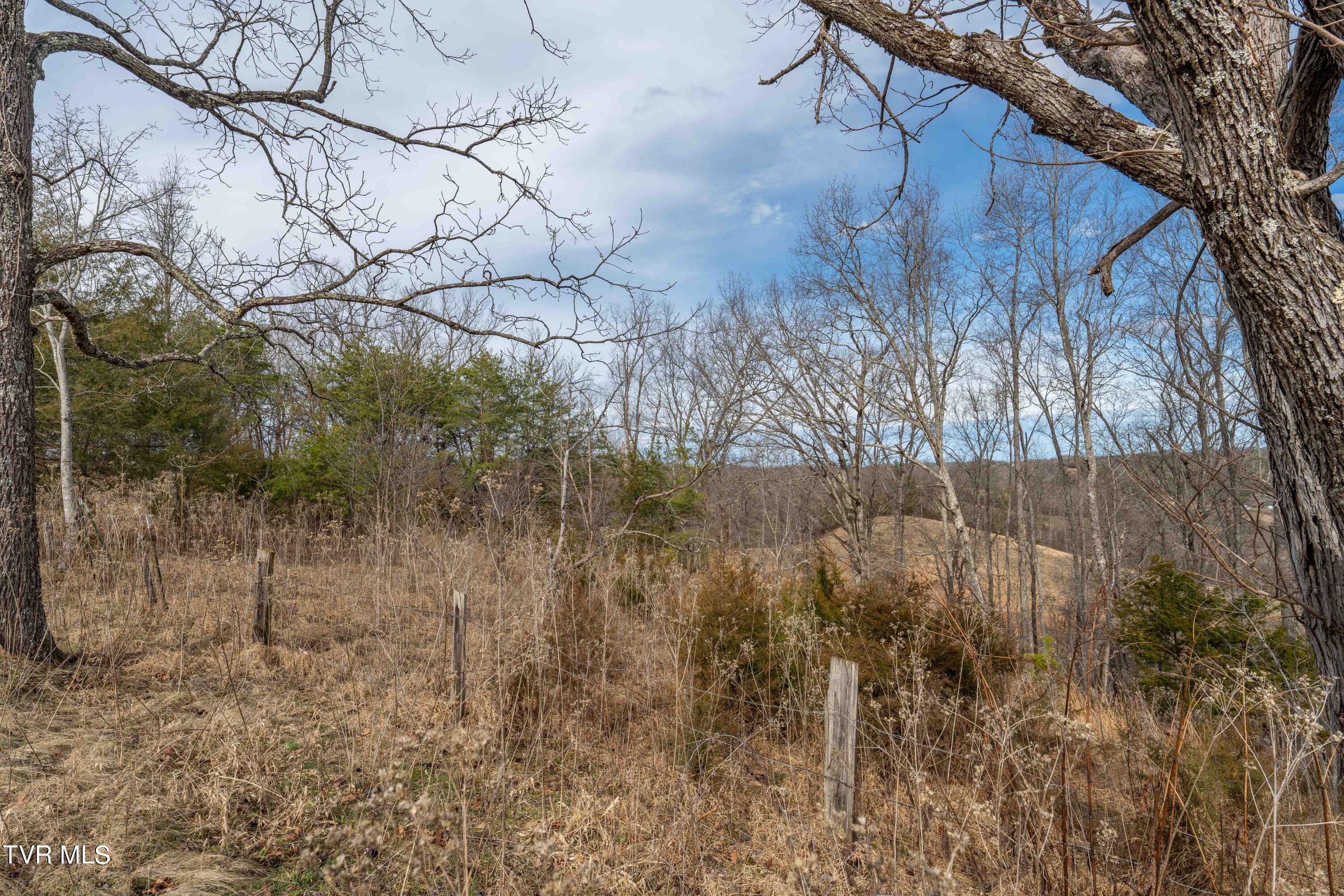 Tbd Lick Creek Road, Watauga, Tennessee image 27