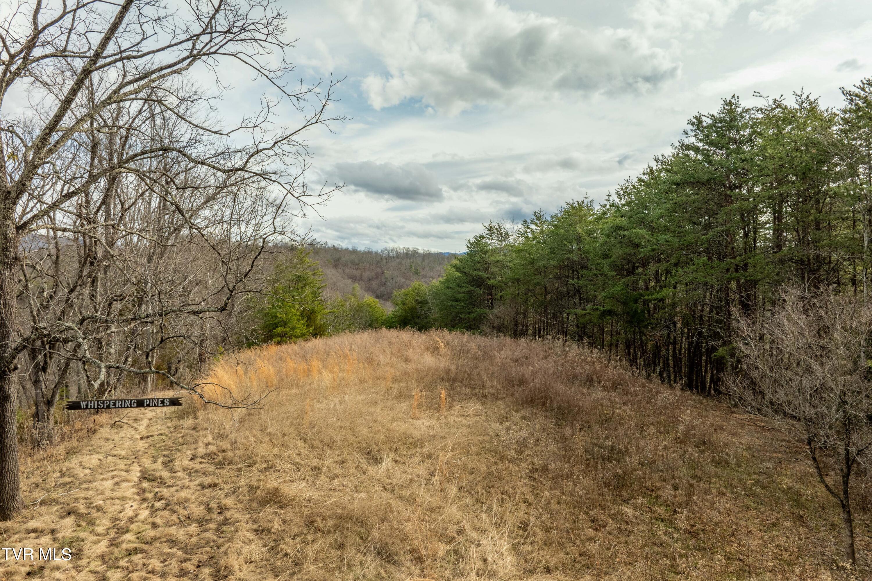 Tbd Lick Creek Road, Watauga, Tennessee image 21