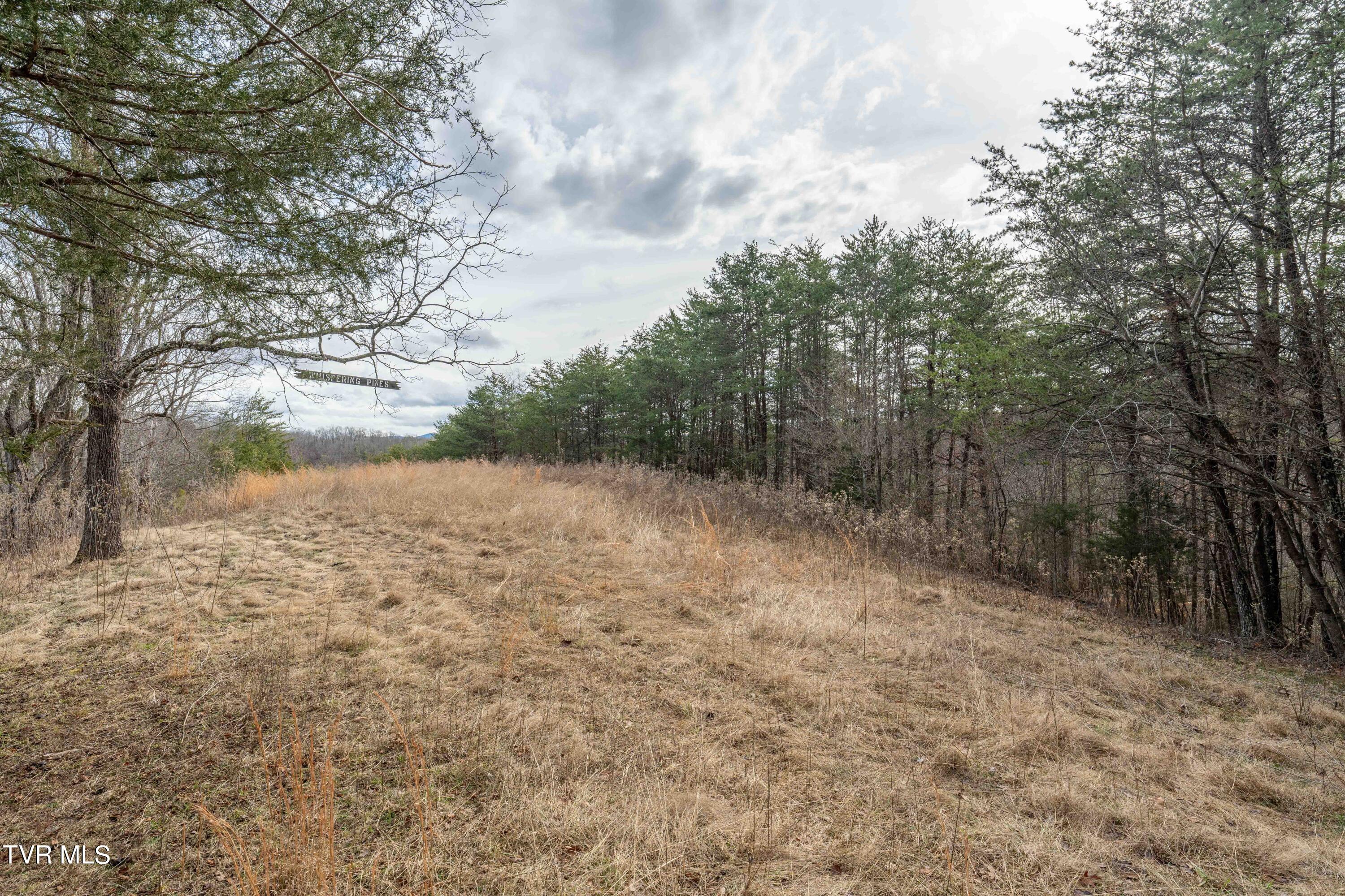 Tbd Lick Creek Road, Watauga, Tennessee image 25