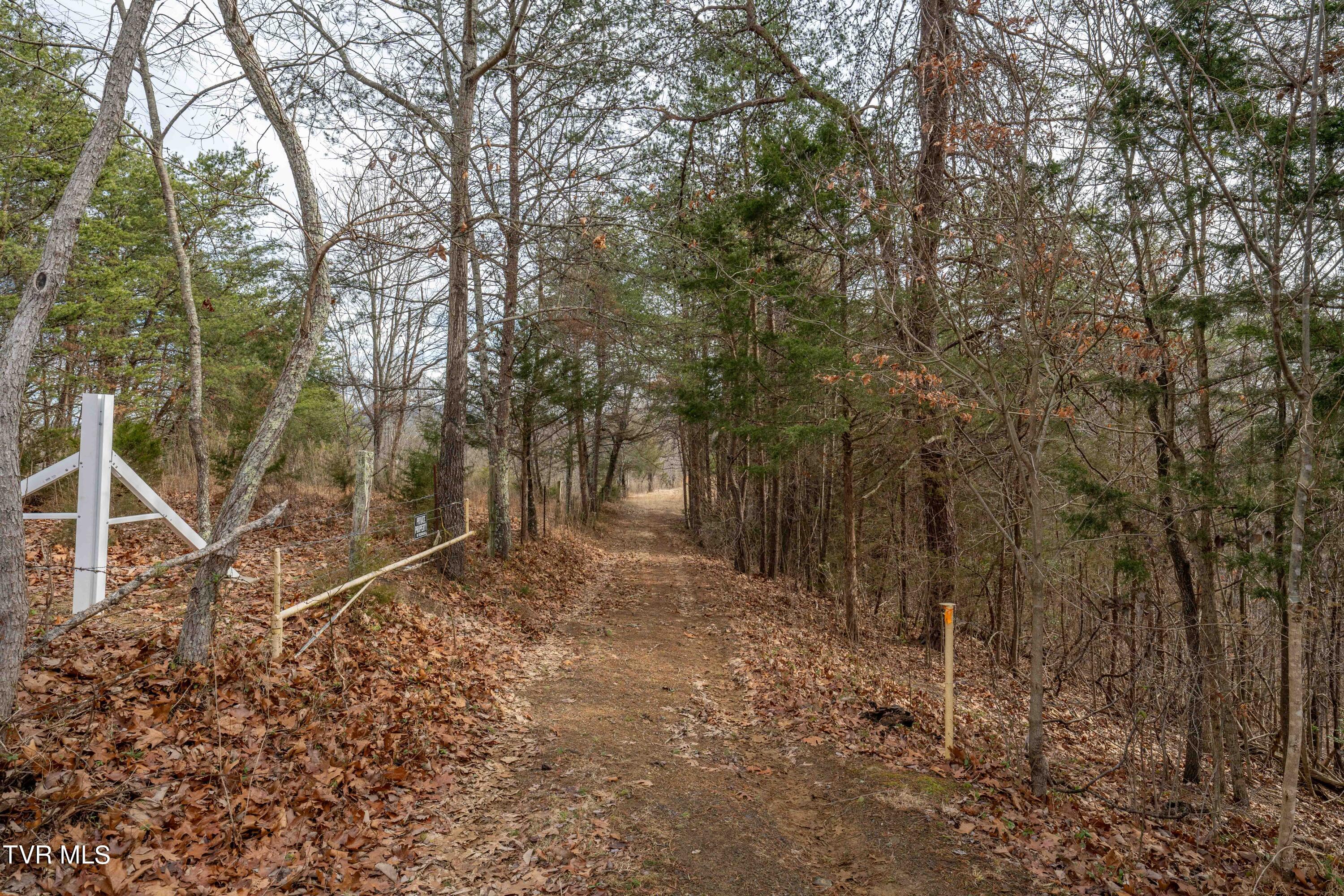 Tbd Lick Creek Road, Watauga, Tennessee image 34