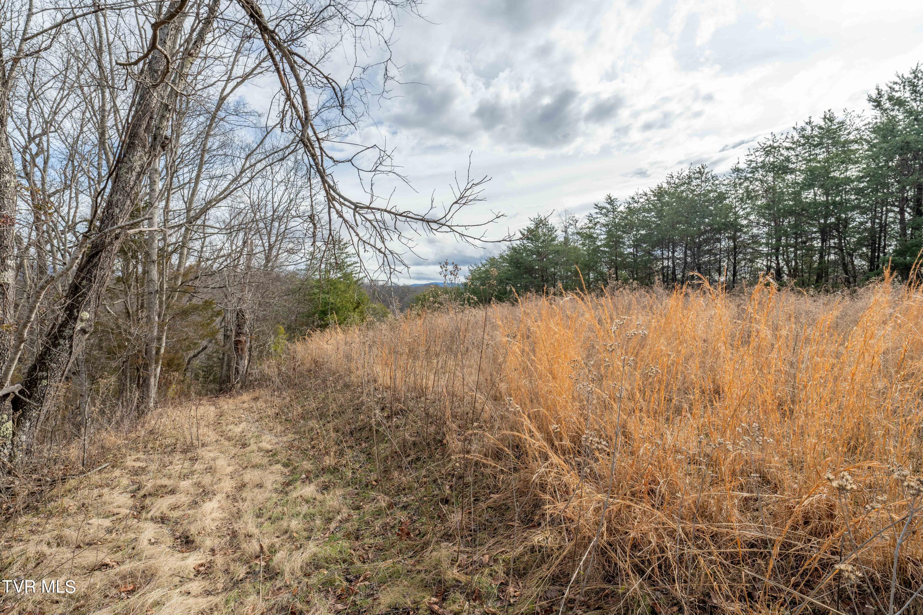 Tbd Lick Creek Road, Watauga, Tennessee image 26