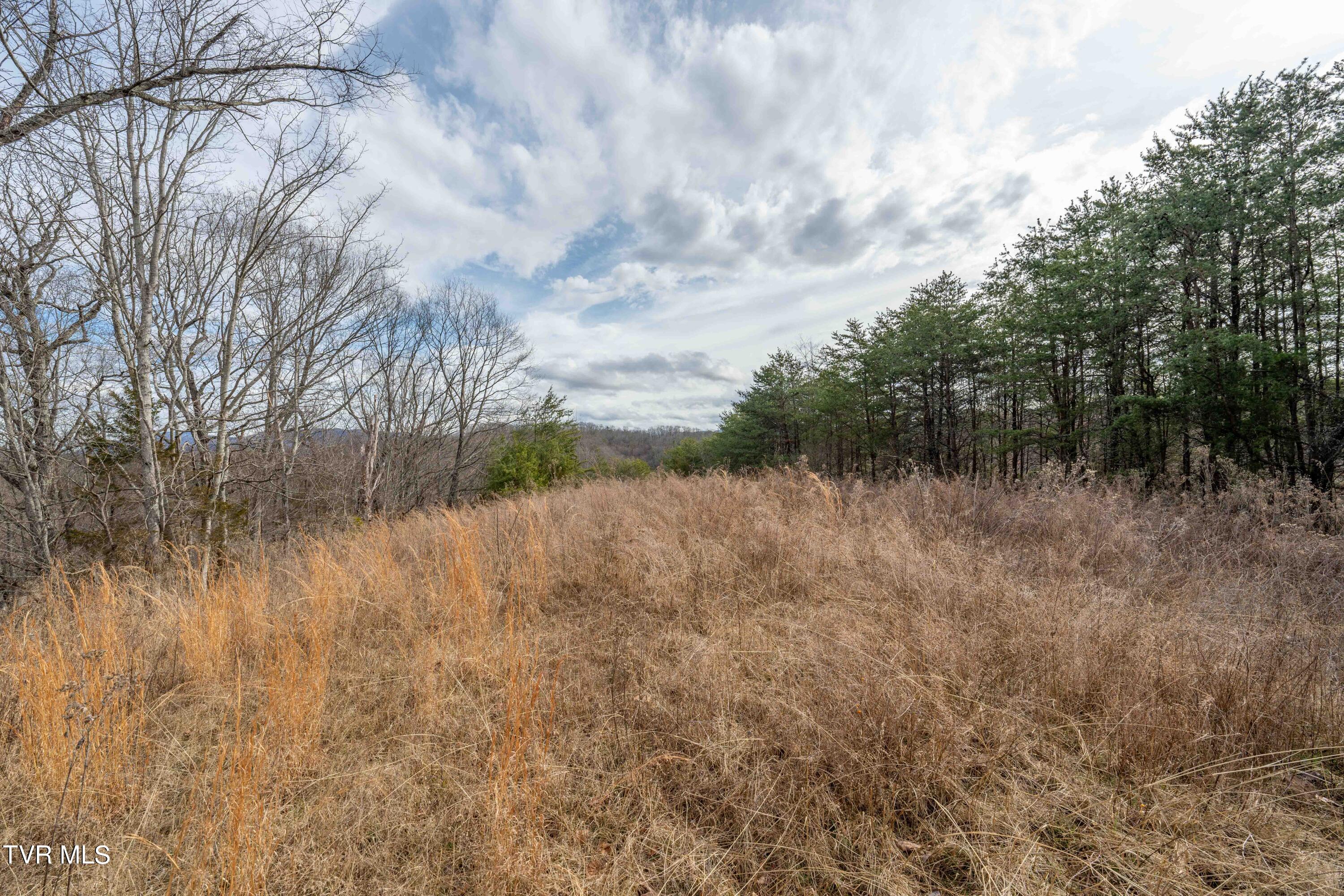 Tbd Lick Creek Road, Watauga, Tennessee image 29